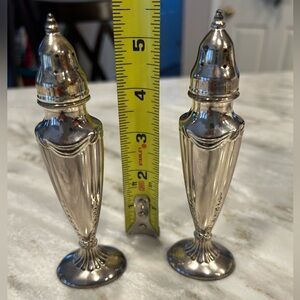 Elegant Silver tone Salt and Pepper Shakers